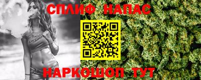 шишки Обь