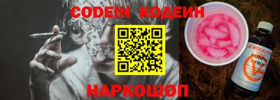 шишки Обь