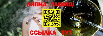 шишки Обь