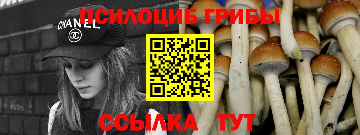 Галлюциногенные грибы GOLDEN TEACHER Санкт-Петербург