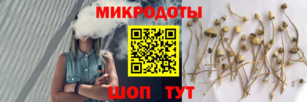 где можно купить   Псилоцибиновые грибы Psilocybe  Вход с VPN  Санкт-Петербург 
